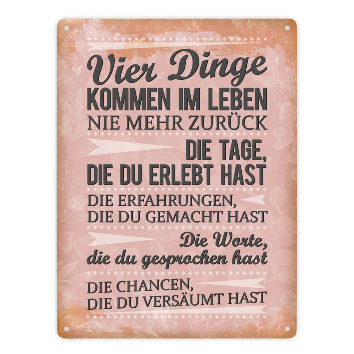 Vier Dinge kommen im Leben nie zurück Metallschild Chance Erfahrung Worte