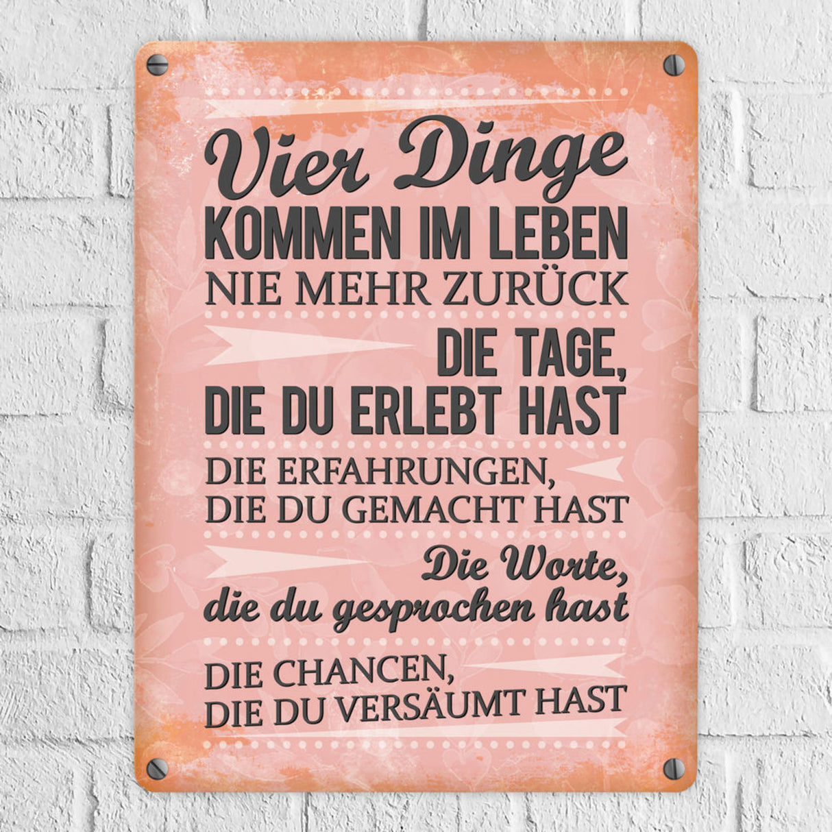 Vier Dinge kommen im Leben nie zurück Metallschild Chance Erfahrung Worte