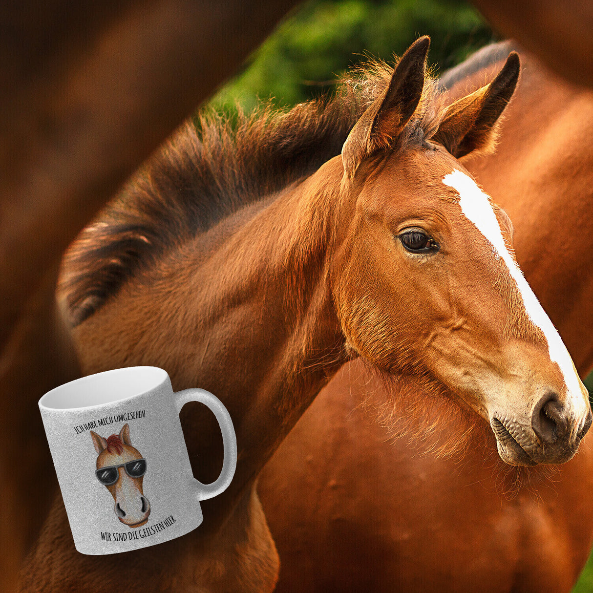 Ich habe mich umgesehen, wir sind die Geilsten hier Kaffeebecher mit Pferd