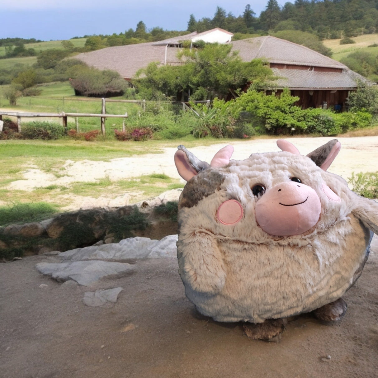 Kuh Handwärmer Noxxiez Kuscheltier