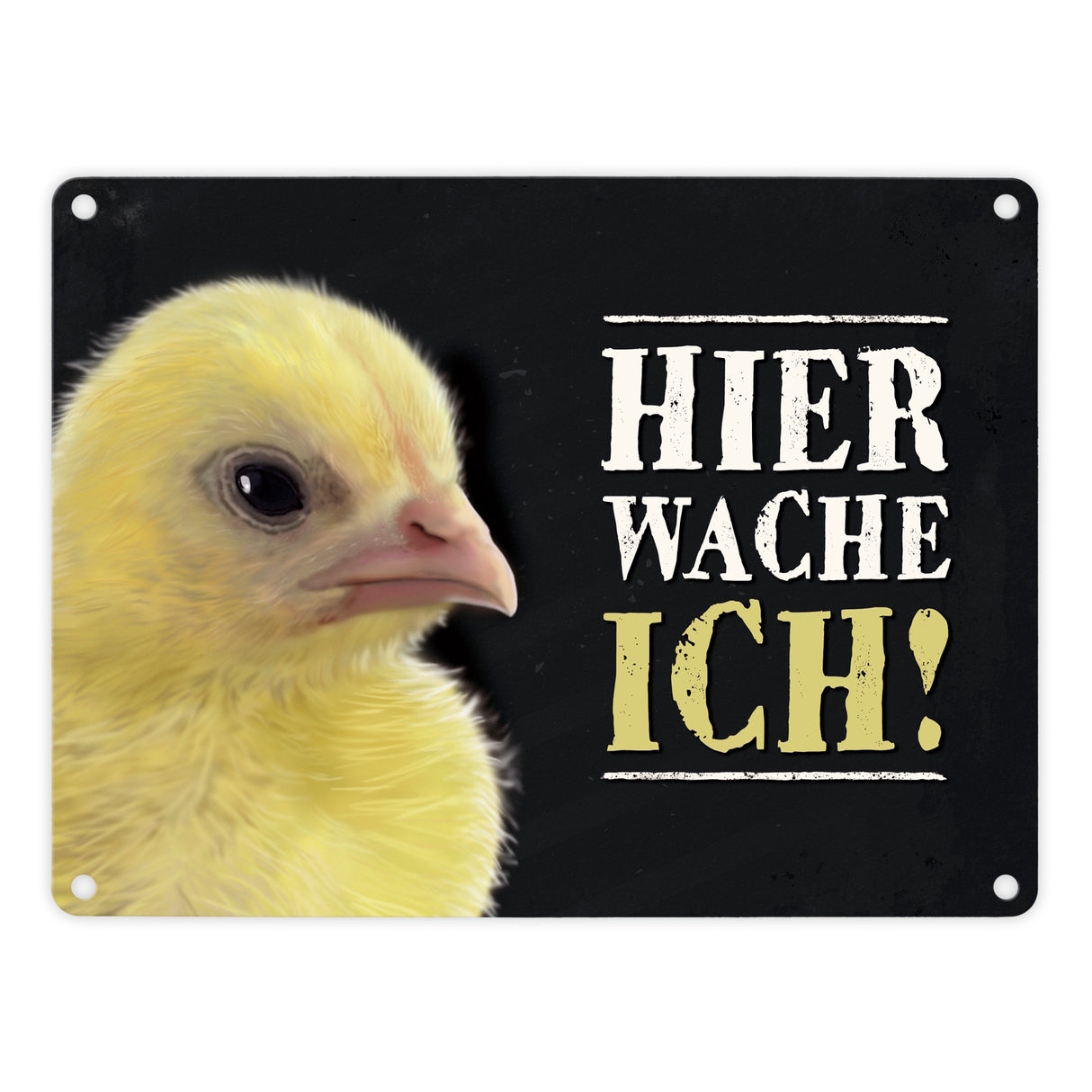 Metallschild mit Küken Motiv und Spruch: Hier wache ich!