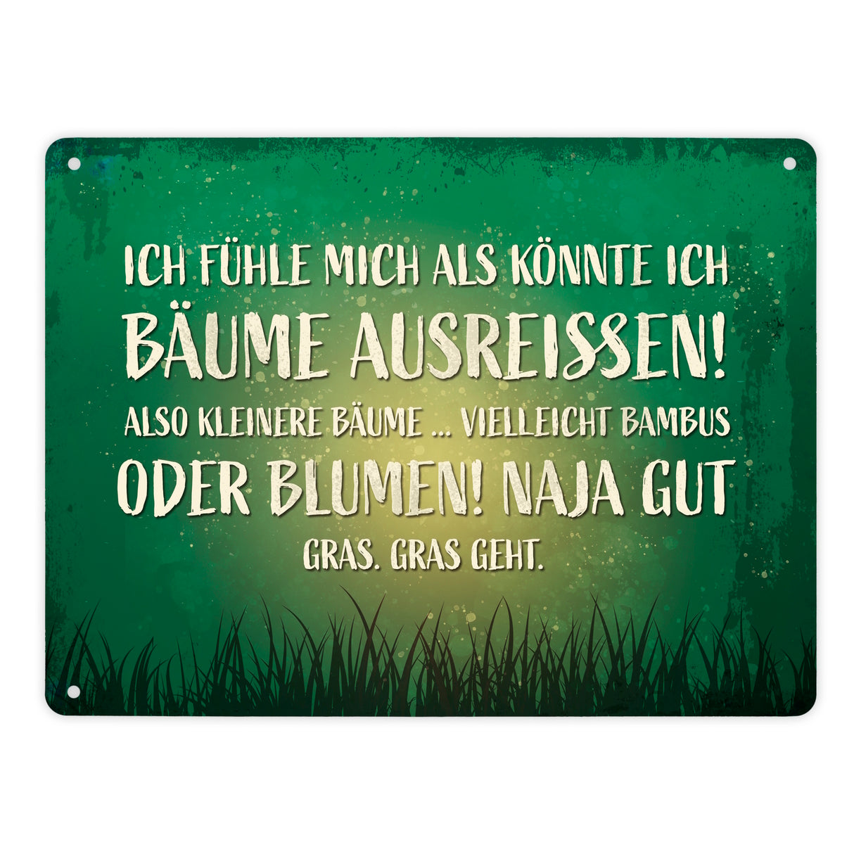 Metallschild mit Spruch: Ich fühle mich, als könnte ...