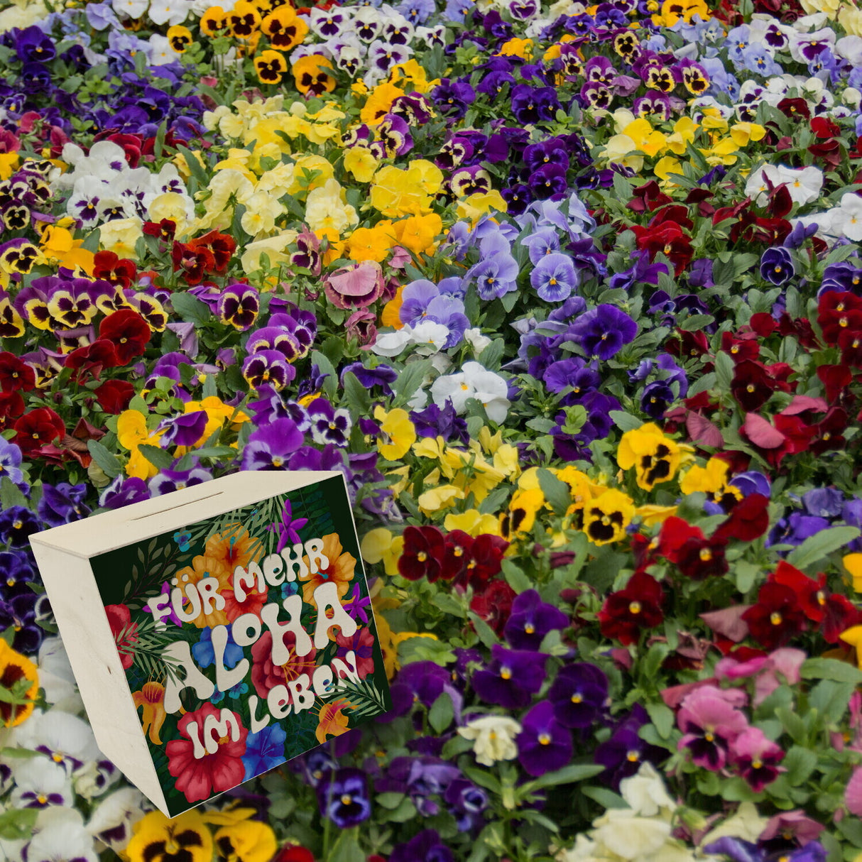 Spardose mit buntem Blumenmotiv und Spruch - Für mehr Aloha im Leben