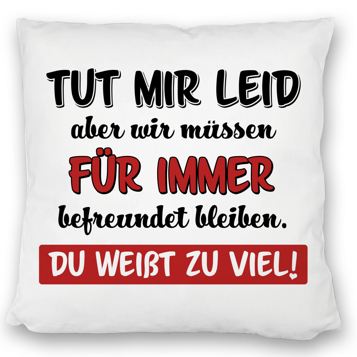 Freundschaft Kissen mit Spruch Tut mir Leid wir müssen befreundet bleiben