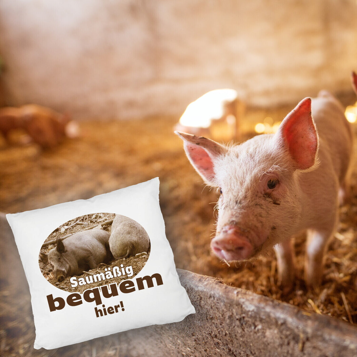Schwein Kissen mit Spruch Saumäßig bequem hier!