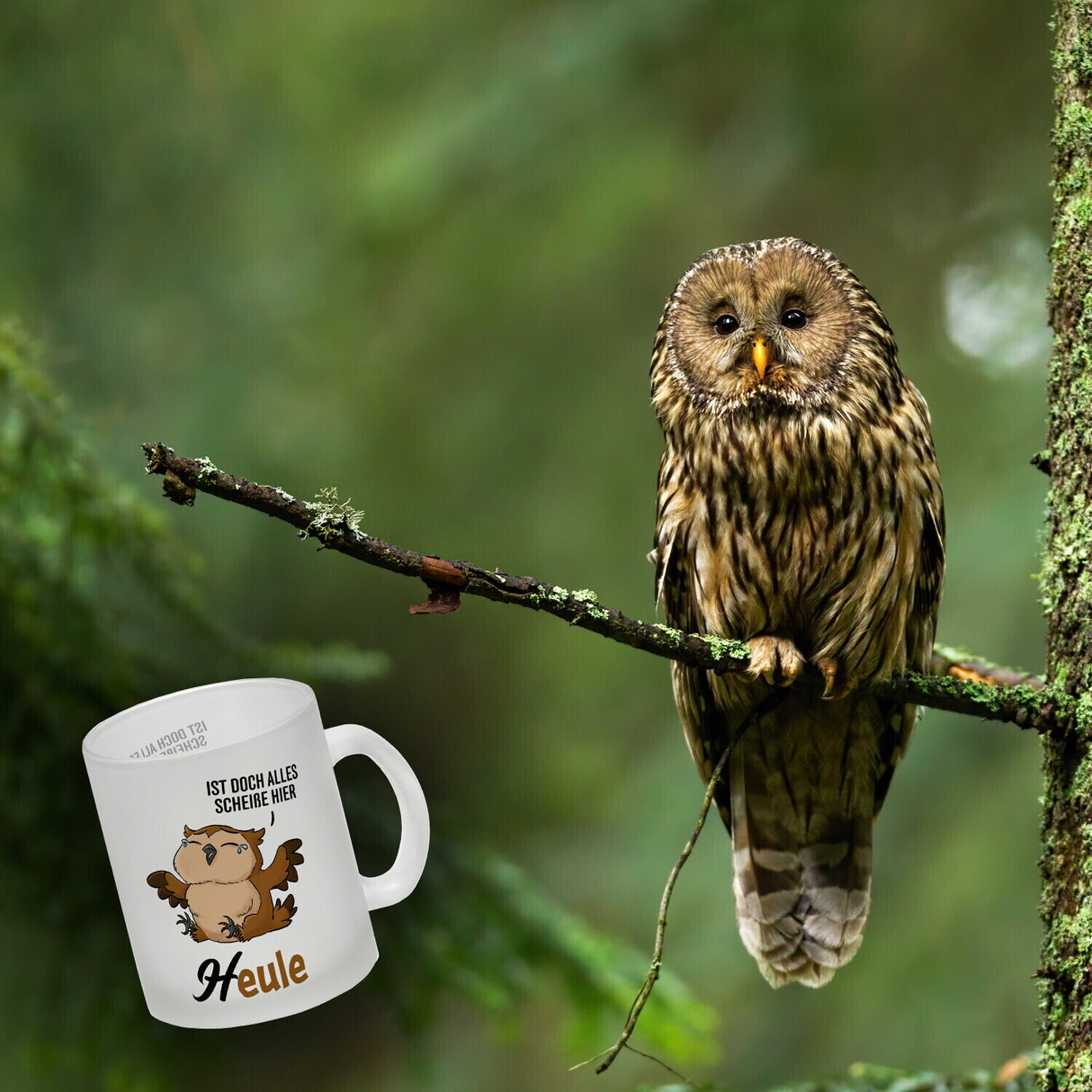 Eule - Heule Kaffeebecher mit Spruch Ist doch alles scheiße hier