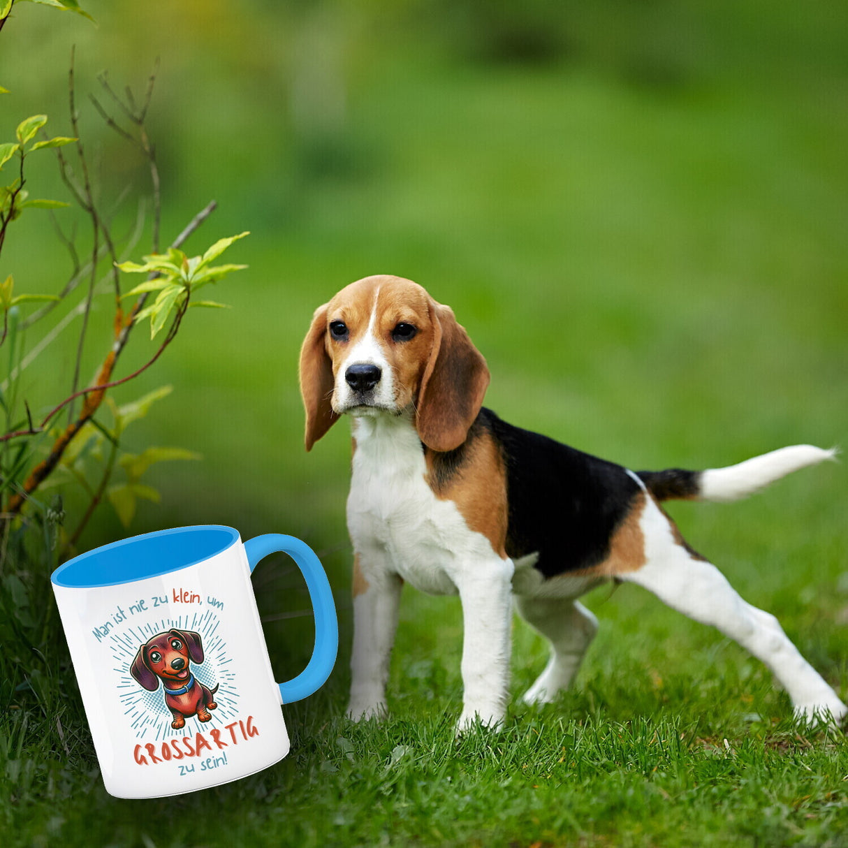 Dackel Kaffeebecher mit Spruch Nie zu klein für Großartigkeit