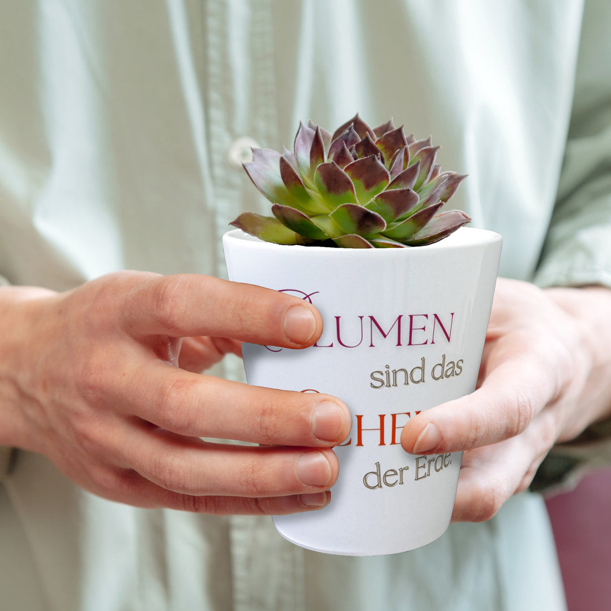 Blumen sind das Lächeln der Erde Blumentopf