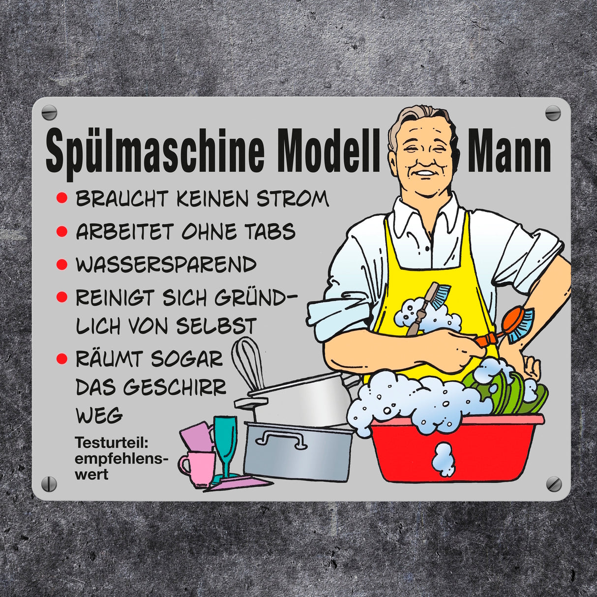 Hausmann Metallschild in 15x20 cm mit Spruch Spülmaschine Modell Mann
