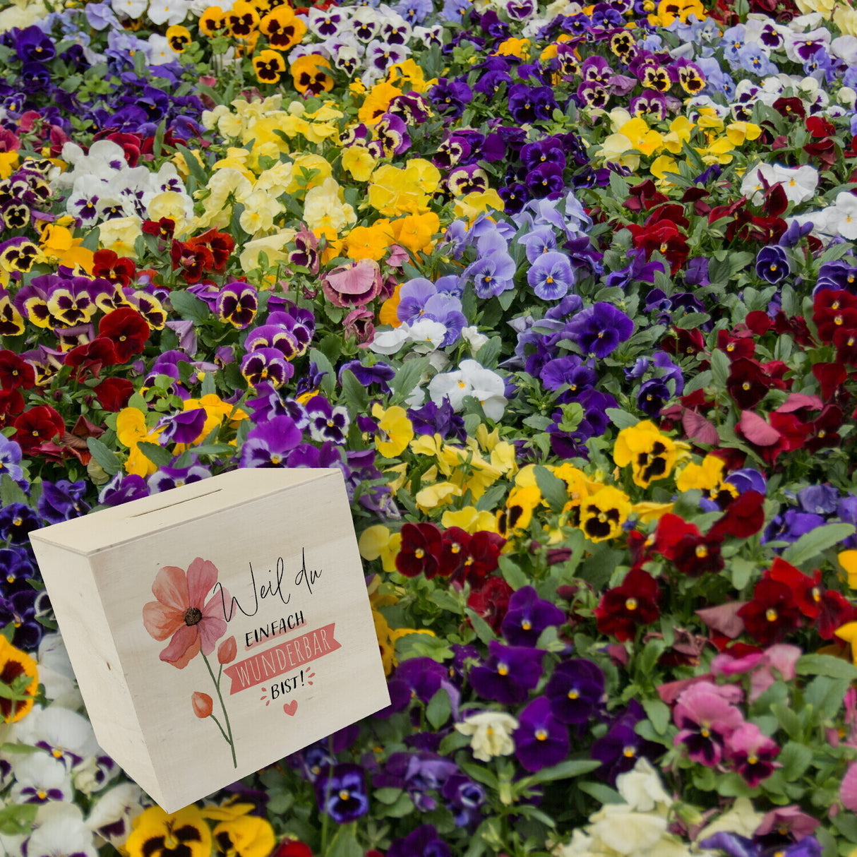 Blume Spardose mit Spruch Weil du einfach wunderbar bist