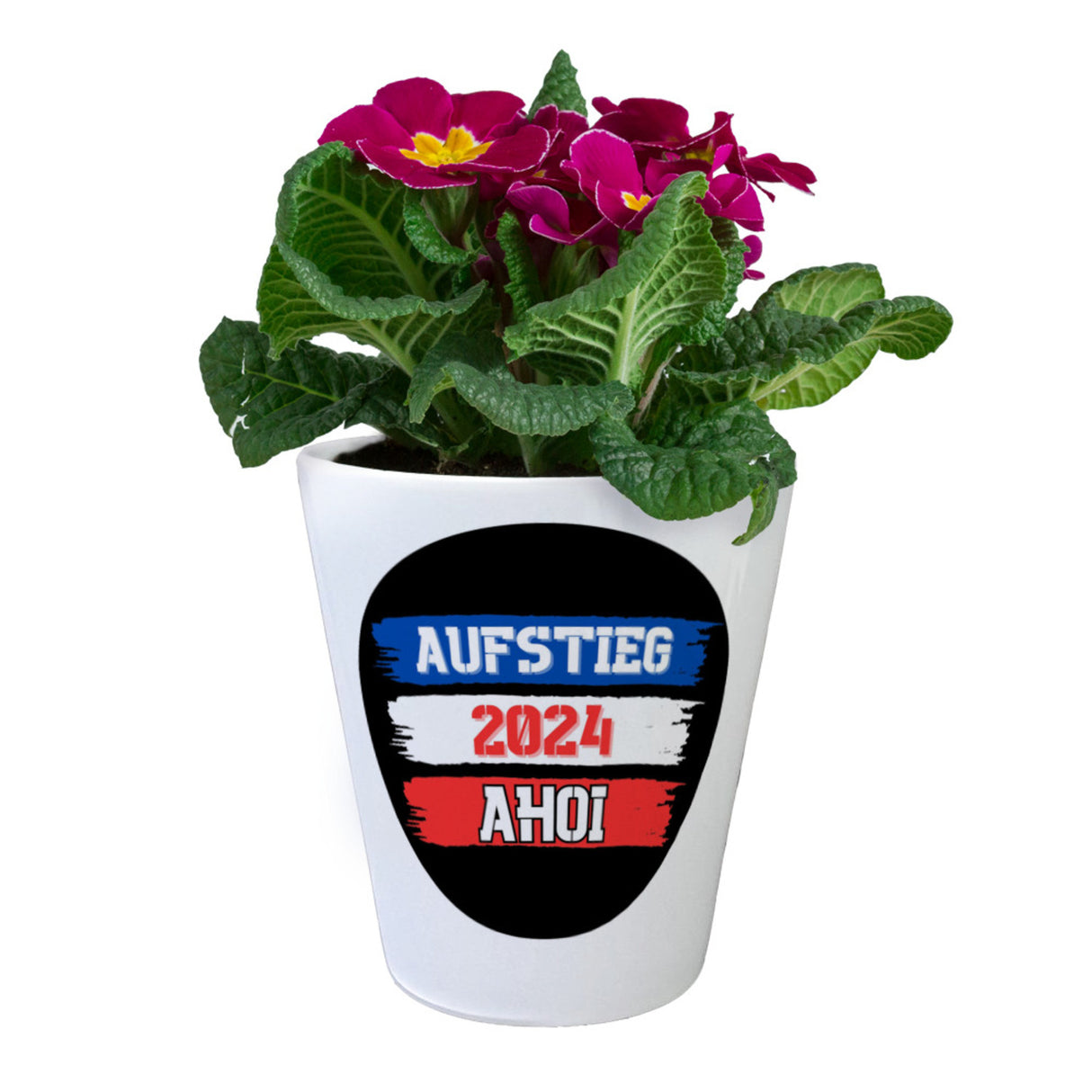 Kiel Aufstieg 2024 Blumentopf mit Spruch Ahoi