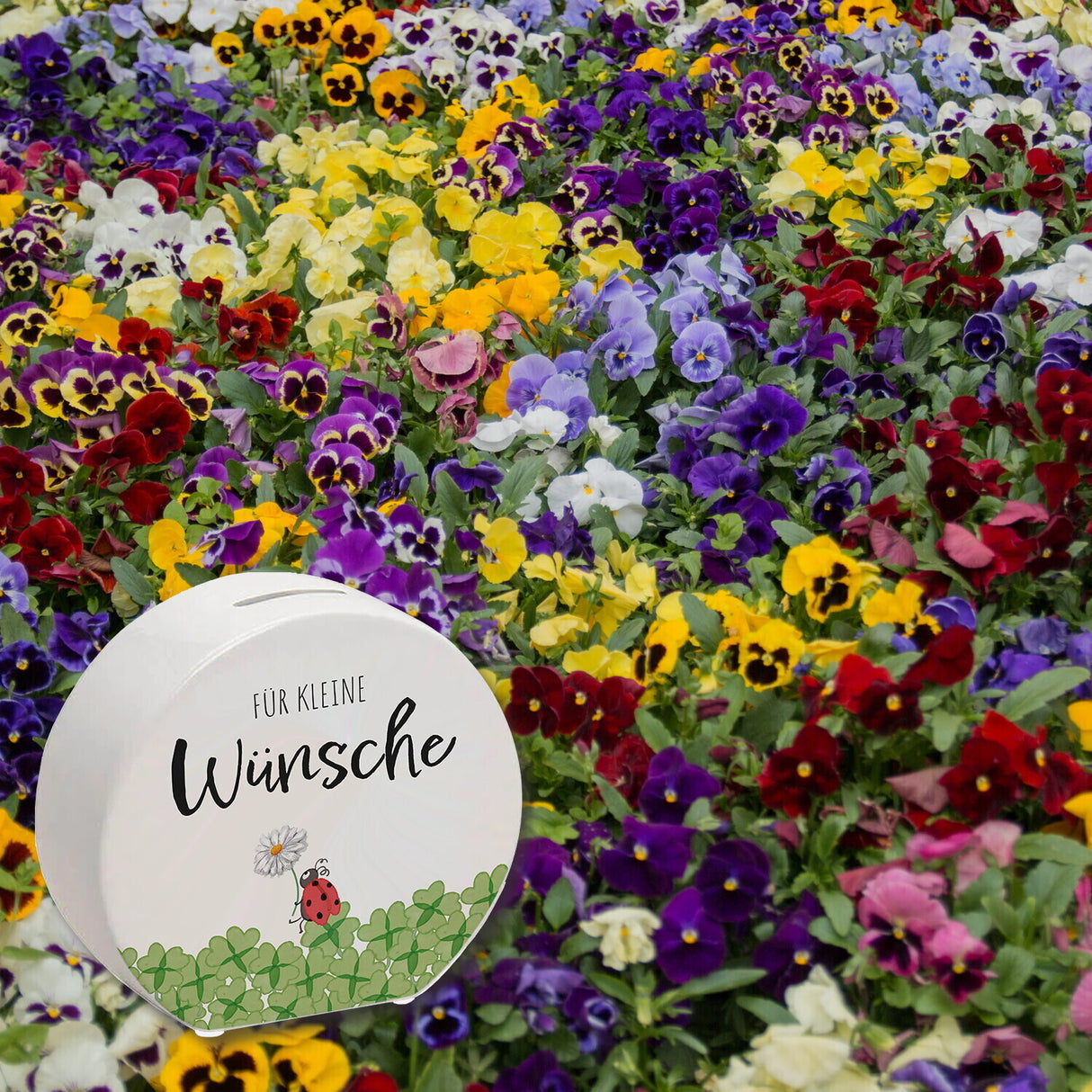 Marienkäfer im Kleefeld Spardose mit Spruch Für kleine Wünsche