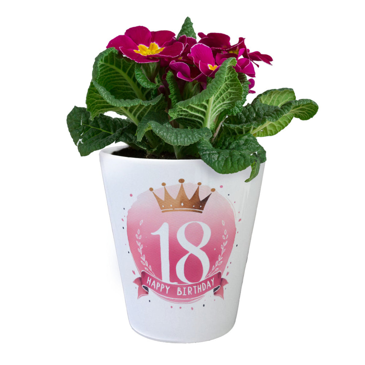 Happy Birthday 18 Krone Blumentopf