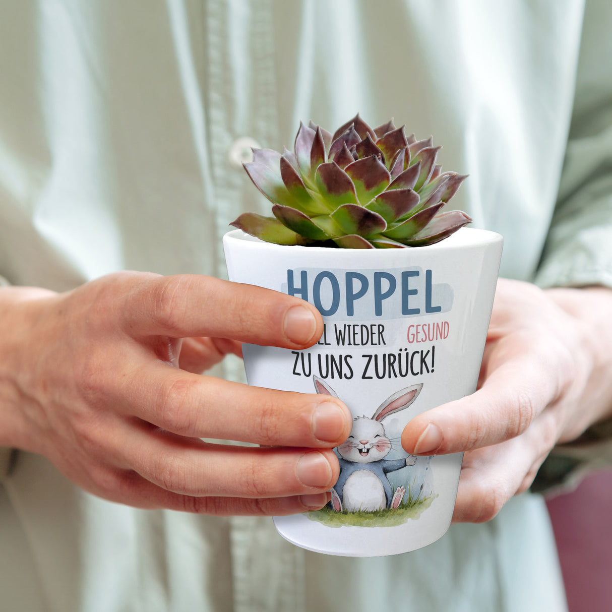 Hoppel schnell gesund zurück Blumentopf - Hase auf der Wiese