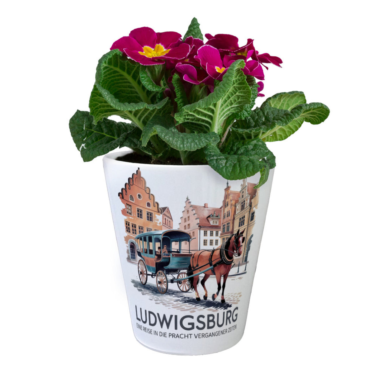 Ludwigsburg Reise Blumentopf Pferdekutsche auf Kopfsteinpflaster