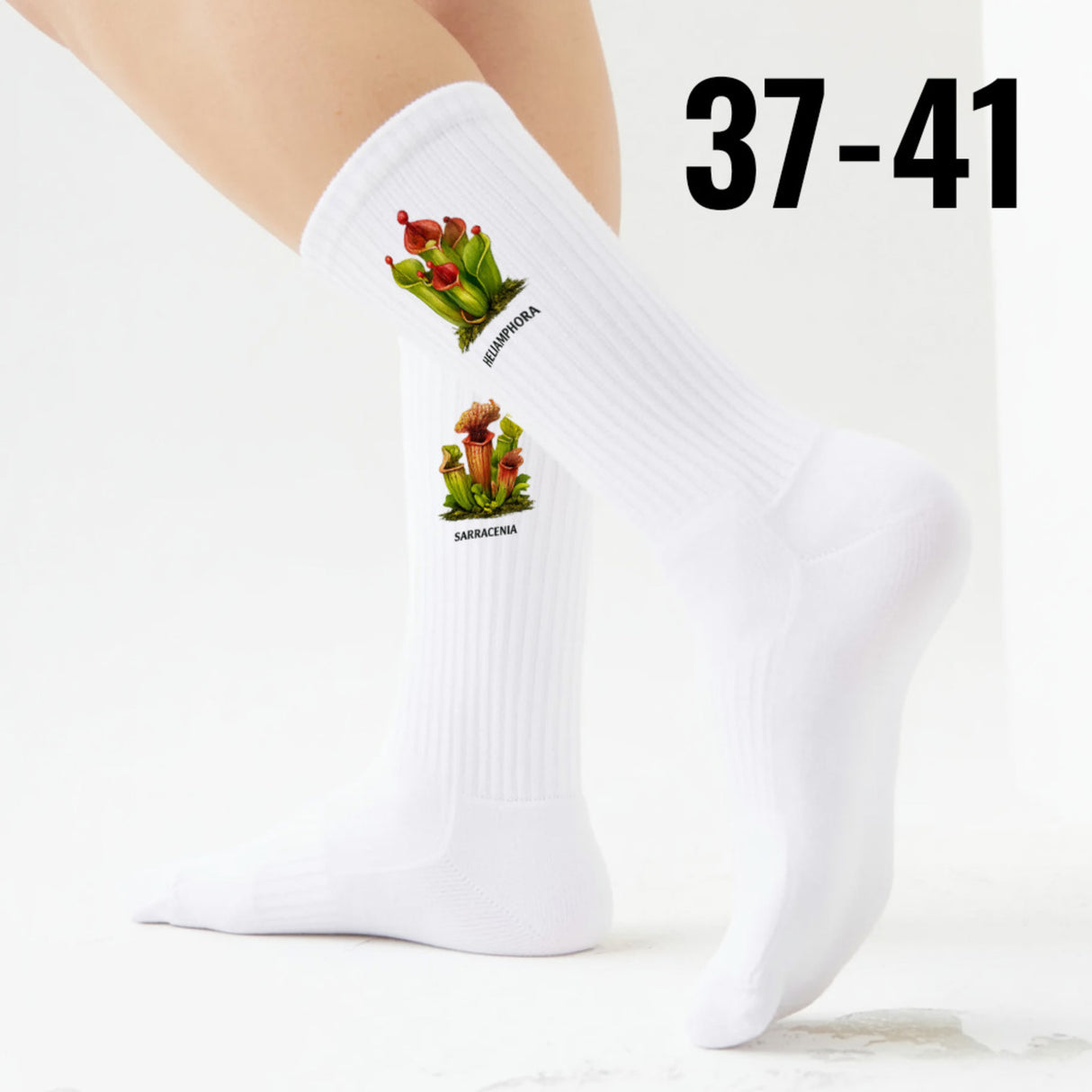 epicsocks Fleischfressende Pflanzen Karnivoren Socken in 37-41 im 6er Set in Geschenkdose im 6er Set in Geschenkbox