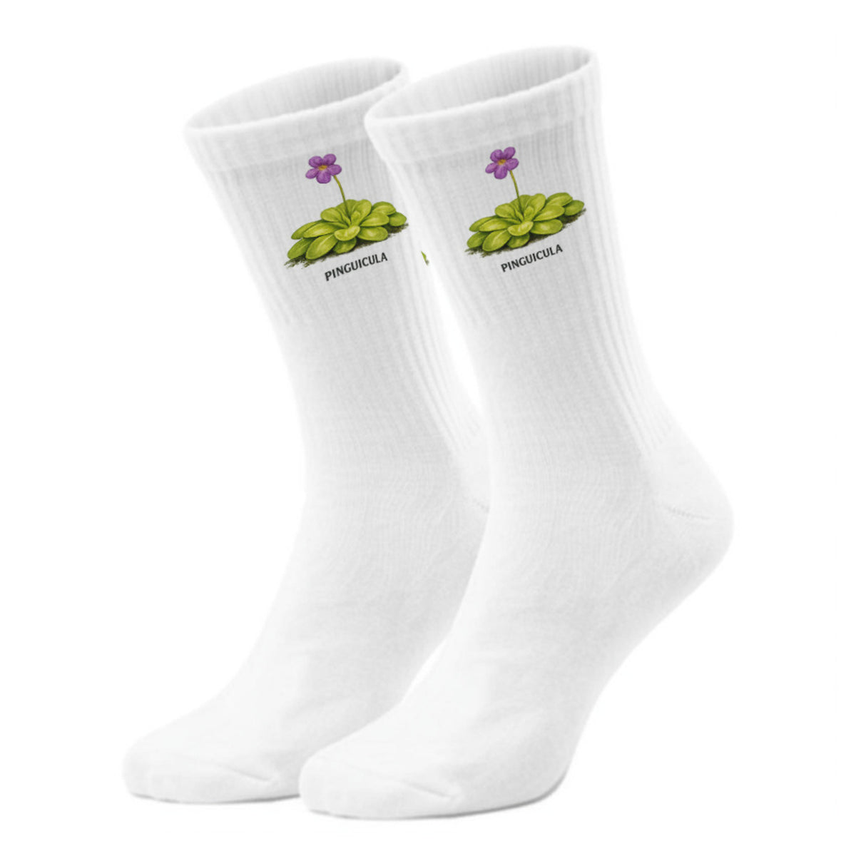 epicsocks Fleischfressende Pflanzen Karnivoren PINGUICULA Socken in 37-41 im Paar