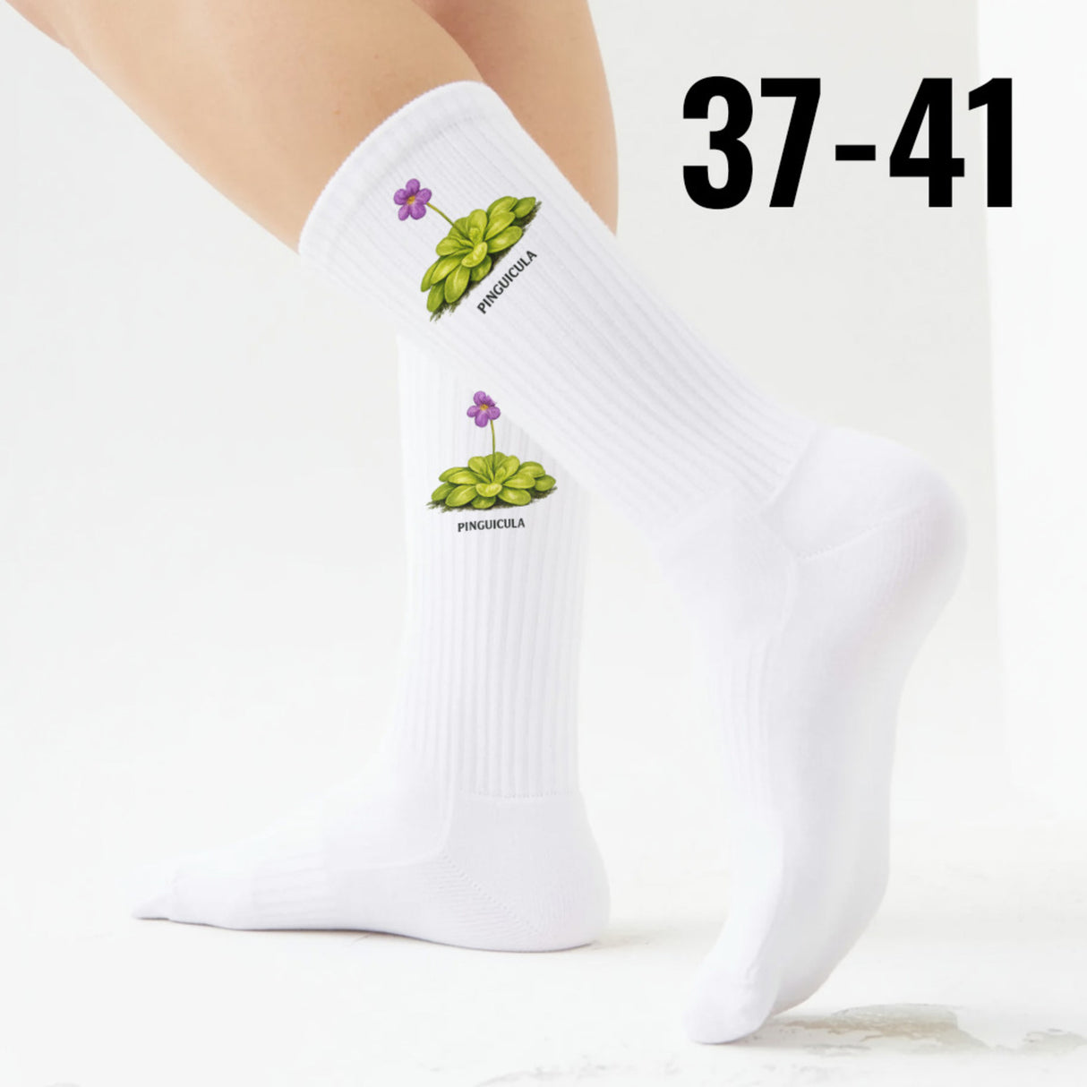 epicsocks Fleischfressende Pflanzen Karnivoren PINGUICULA Socken in 37-41 im Paar