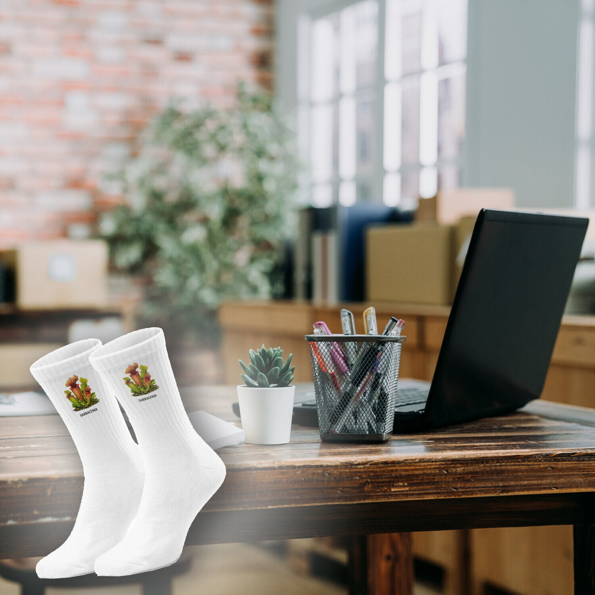 epicsocks Fleischfressende Pflanzen Karnivoren SARRACENIA Socken in 37-41 im Paar