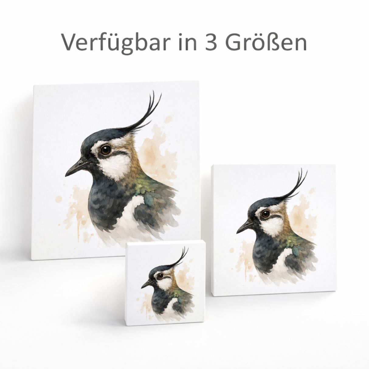 Vogelparade Kiebitz Porträt Holzbild in 10x10 cm zum Stellen oder Aufhängen