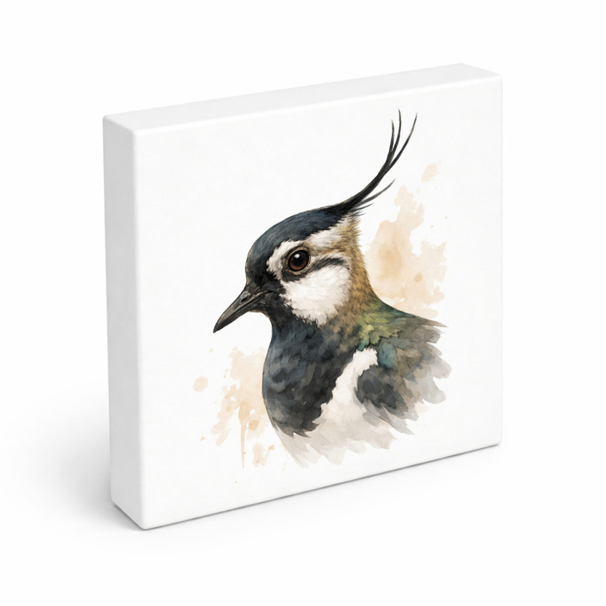 Vogelparade Kiebitz Porträt Holzbild in 10x10 cm zum Stellen oder Aufhängen