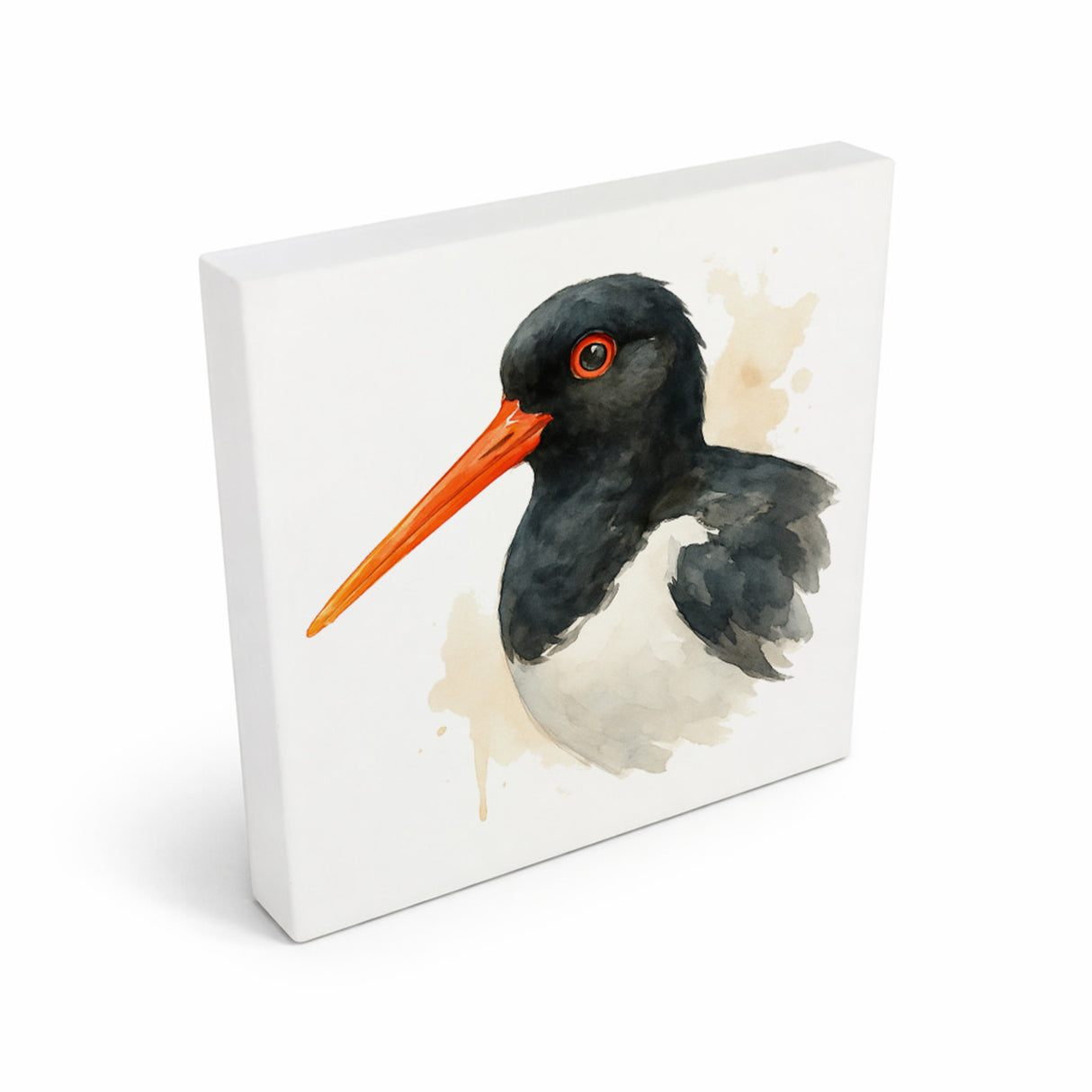 Vogelparade Austernfischer Aquarell Holzbild in 10x10 cm zum Stellen oder Aufhängen