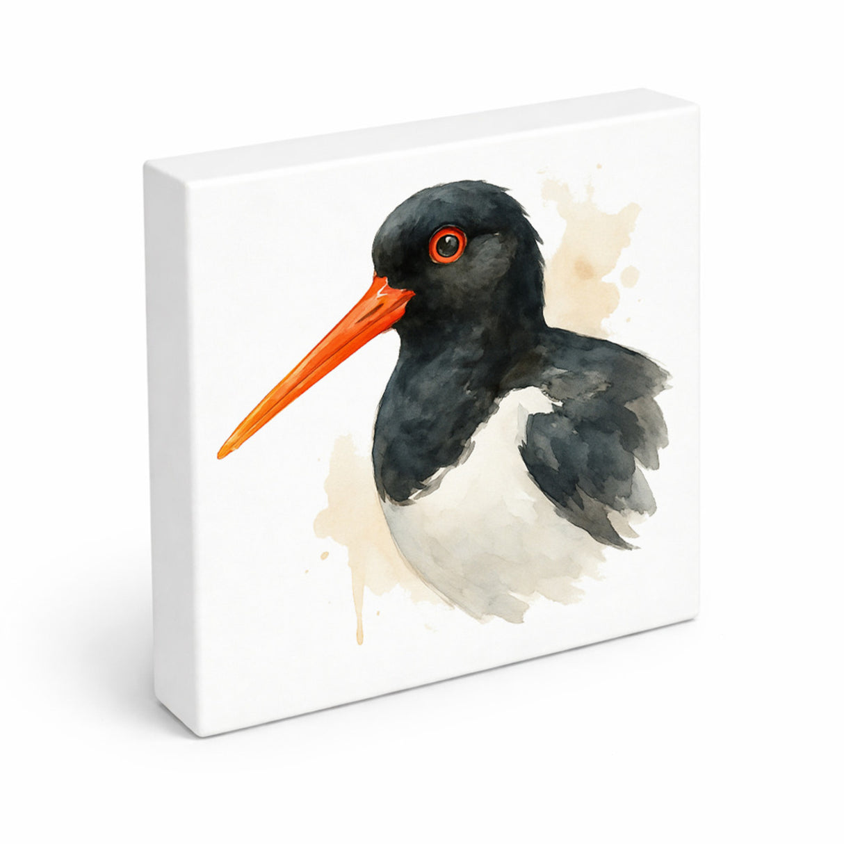 Vogelparade Austernfischer Aquarell Holzbild in 10x10 cm zum Stellen oder Aufhängen