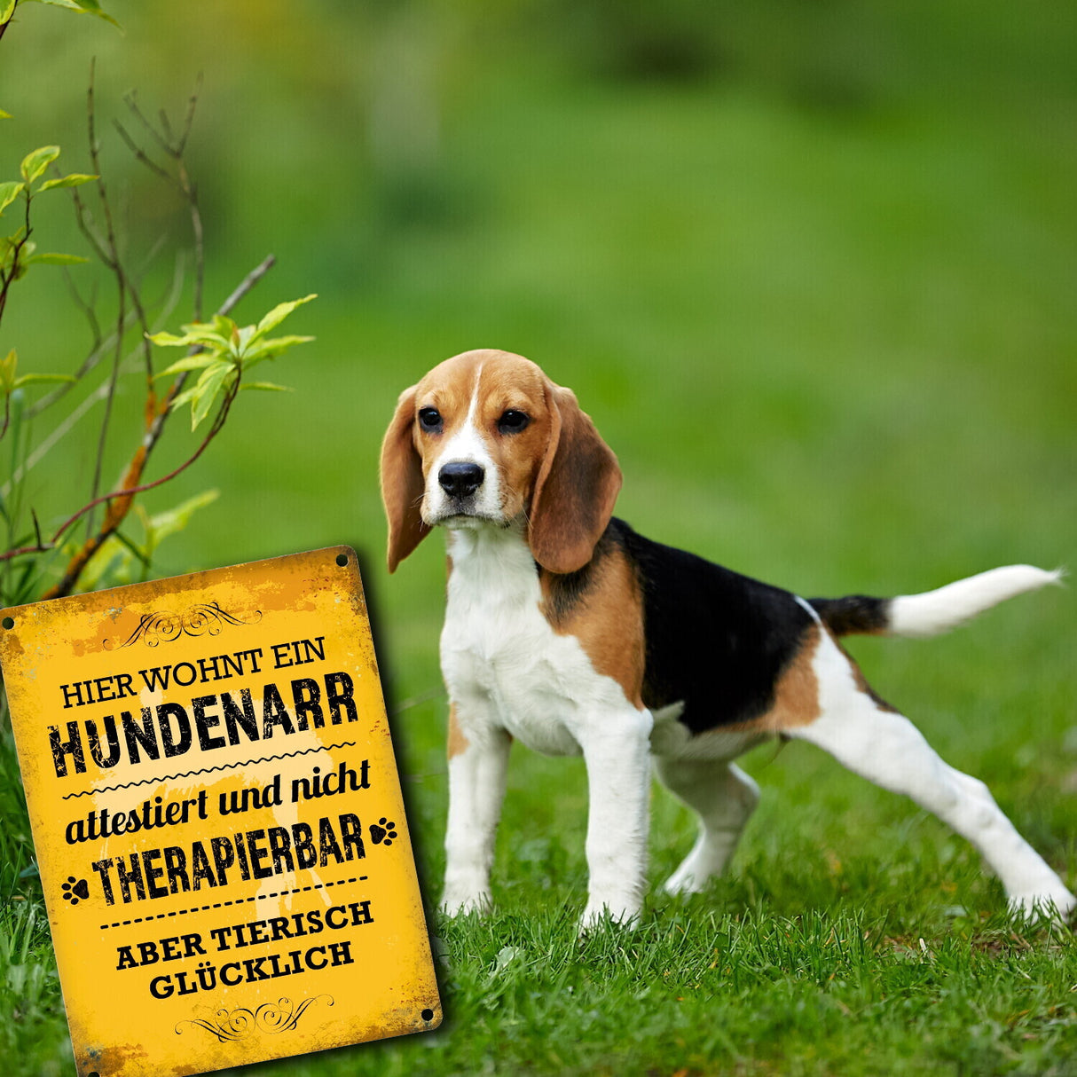Metallschild mit Spruch: Hier wohnt ein Hundenarr - nicht therapierbar aber tierisch glücklich