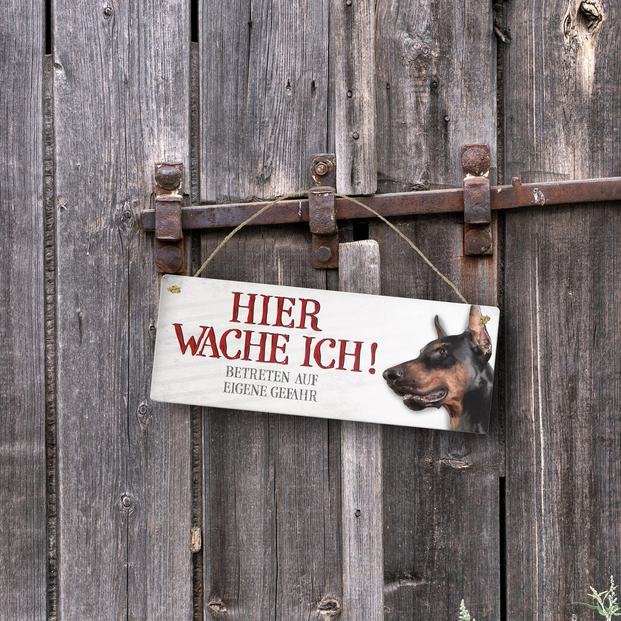 Metallschild mit Dobermann Motiv und Spruch: Betreten auf eigene Gefahr ...