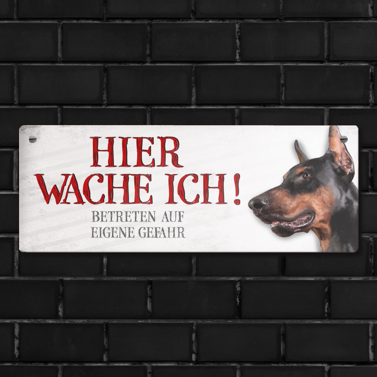 Metallschild mit Dobermann Motiv und Spruch: Betreten auf eigene Gefahr ...