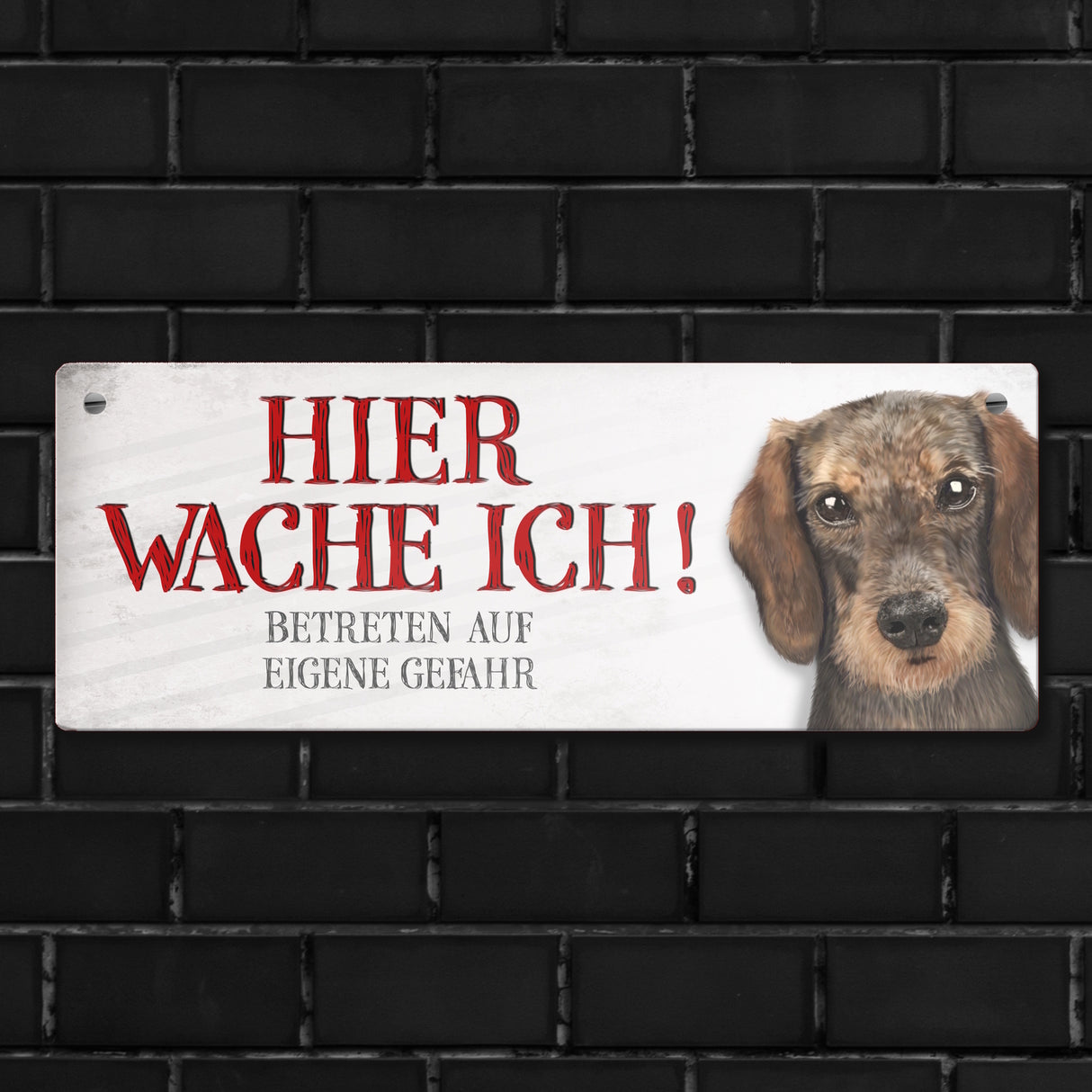 Metallschild mit Dackel Motiv und Spruch: Betreten auf eigene Gefahr ...