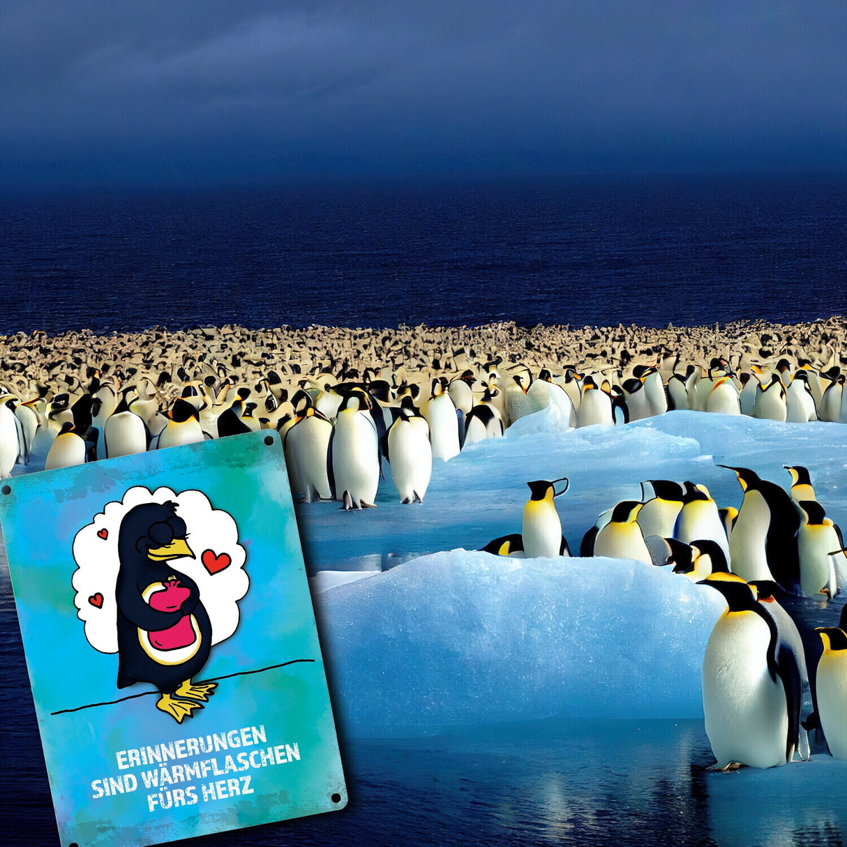 Metallschild mit Pinguin Motiv und Spruch: Erinnerungen sind Wärmflaschen ...