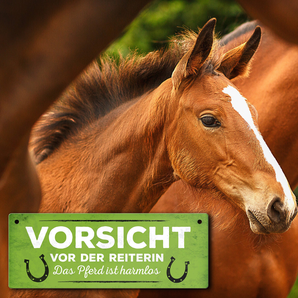 Metallschild mit Spruch: Vorsicht vor der Reiterin, das ...
