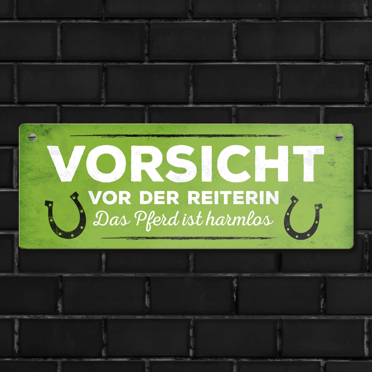 Metallschild mit Spruch: Vorsicht vor der Reiterin, das ...