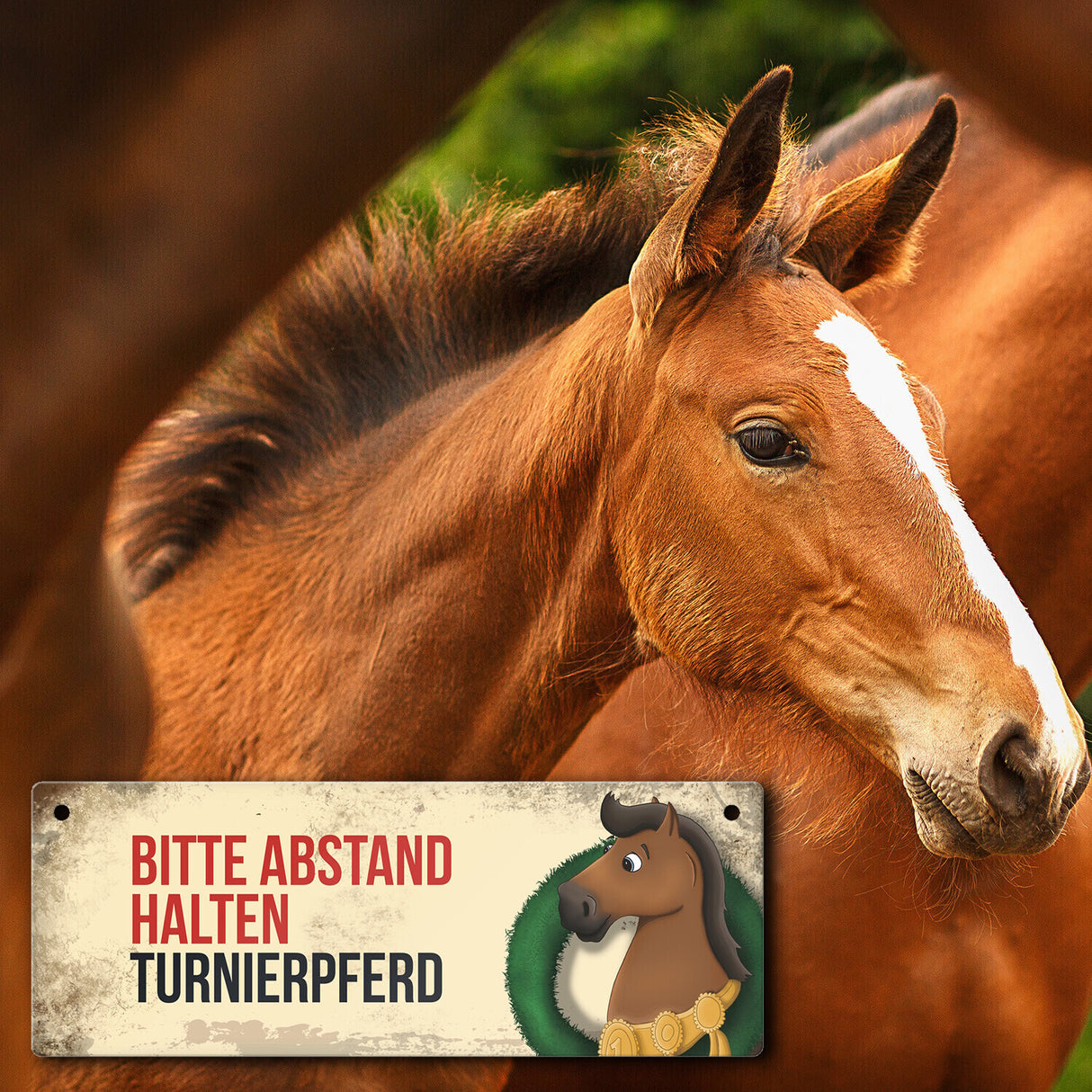 Metallschild mit braunem Turnierpferd Motiv und Spruch: Bitte Abstand halten