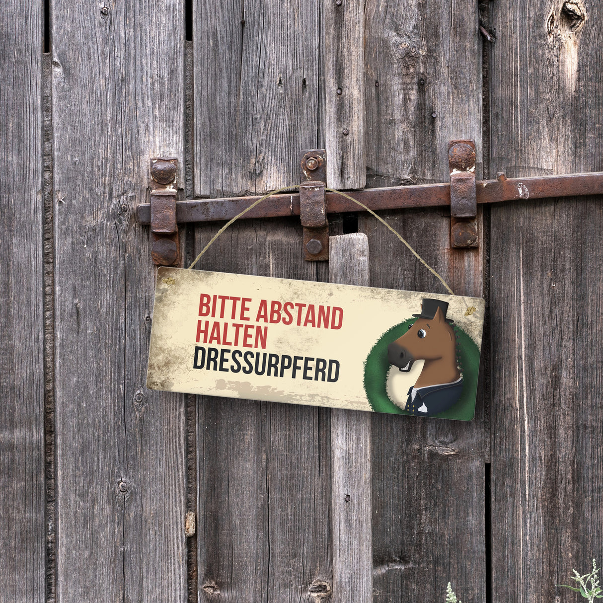 Metallschild mit braunem Dressurpferd Motiv und Spruch: Bitte Abstand halten