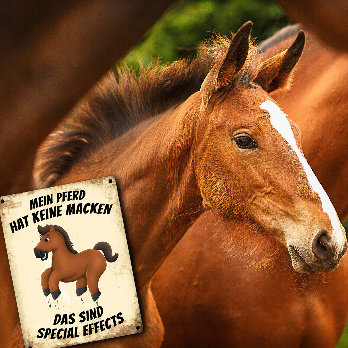Metallschild mit Pferd Motiv und Spruch: Mein Pferd hat keine Macken, das ...