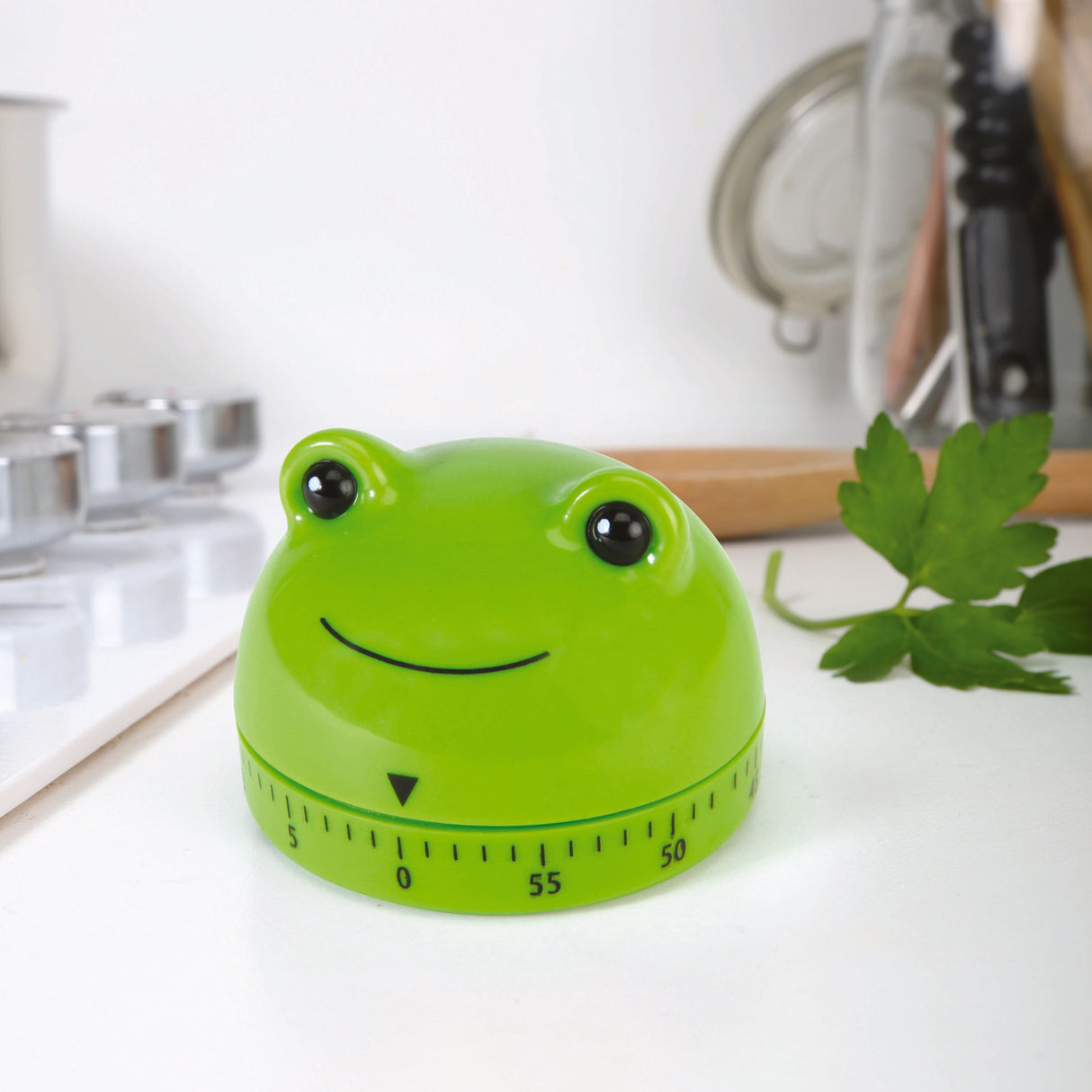 Frosch Küchentimer