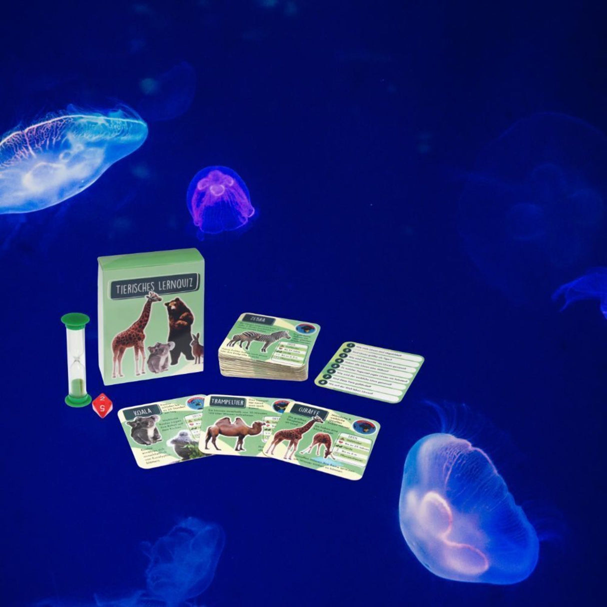 Tierisches Lernquiz Gesellschaftsspiel mit Sanduhr und Würfel