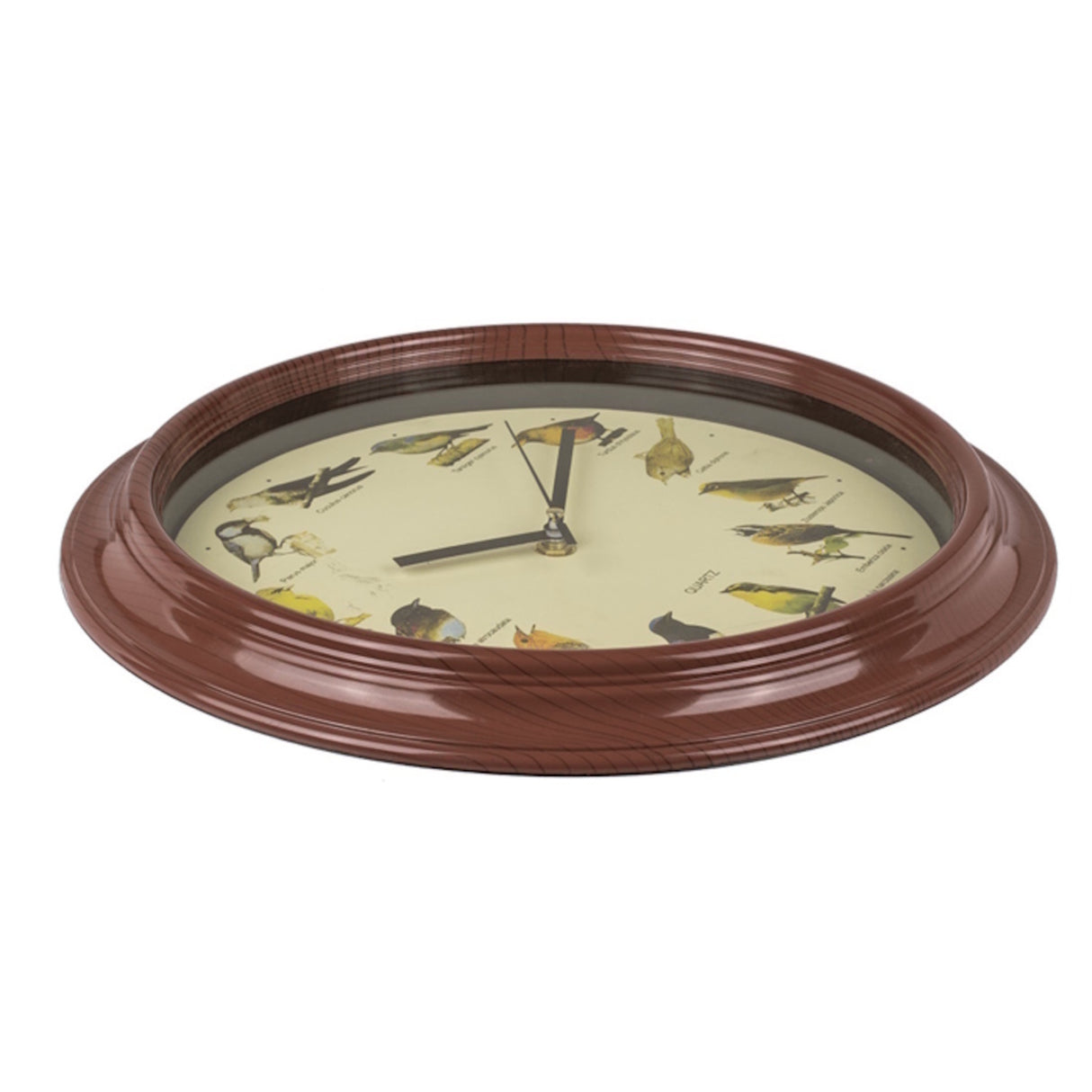 Wanduhr mit Vogelstimmen