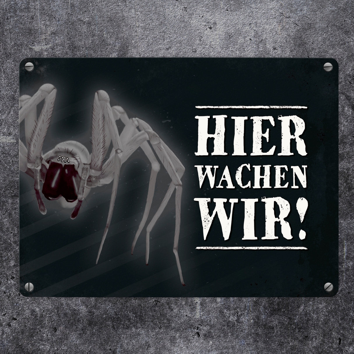 Hier wachen wir! Vogelspinne Metallschild