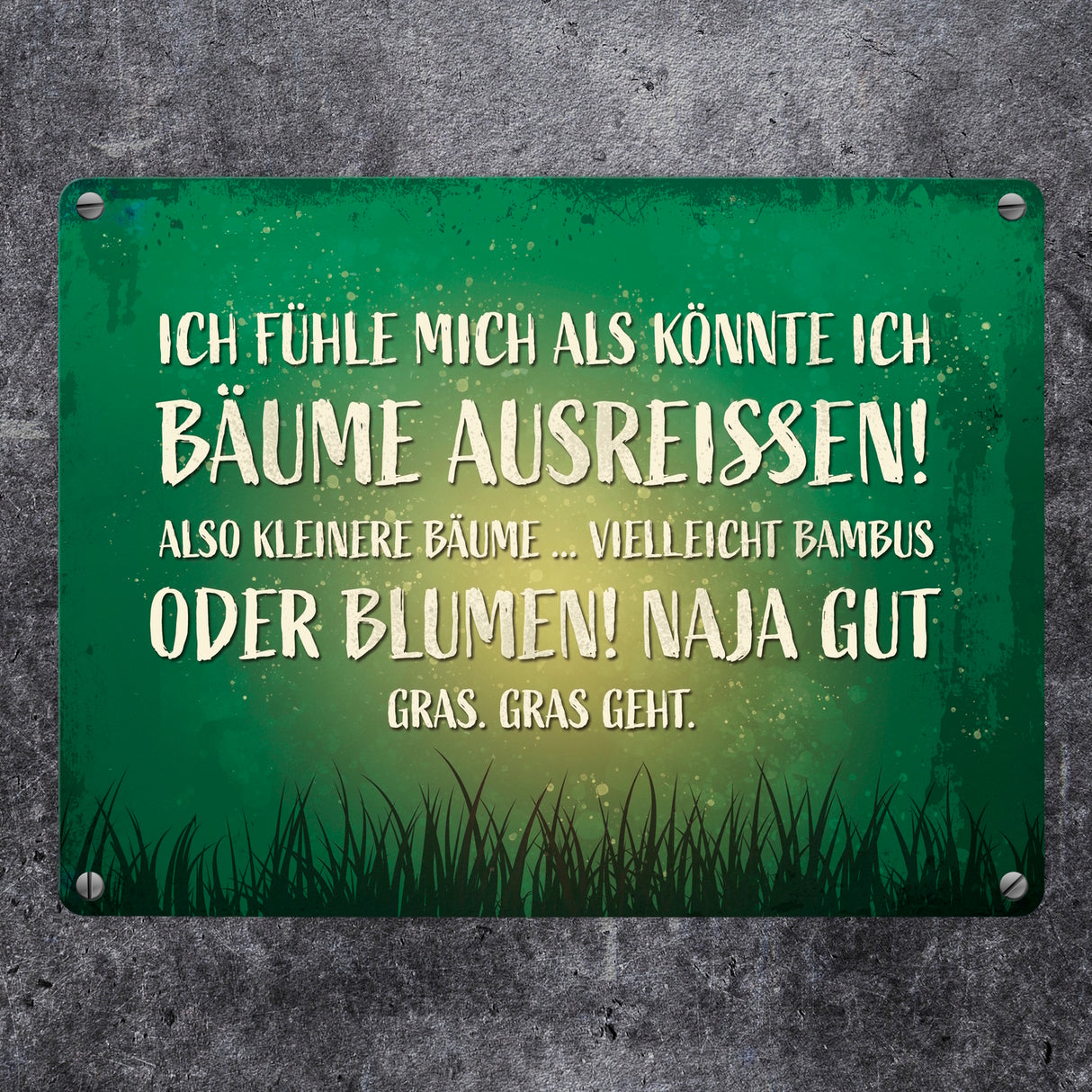 Metallschild mit Spruch: Ich fühle mich, als könnte ...