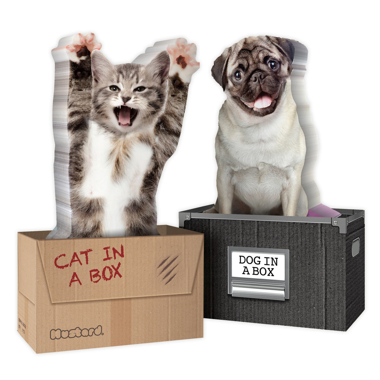Dog in a Box Haftnotizen mit 150 Blatt