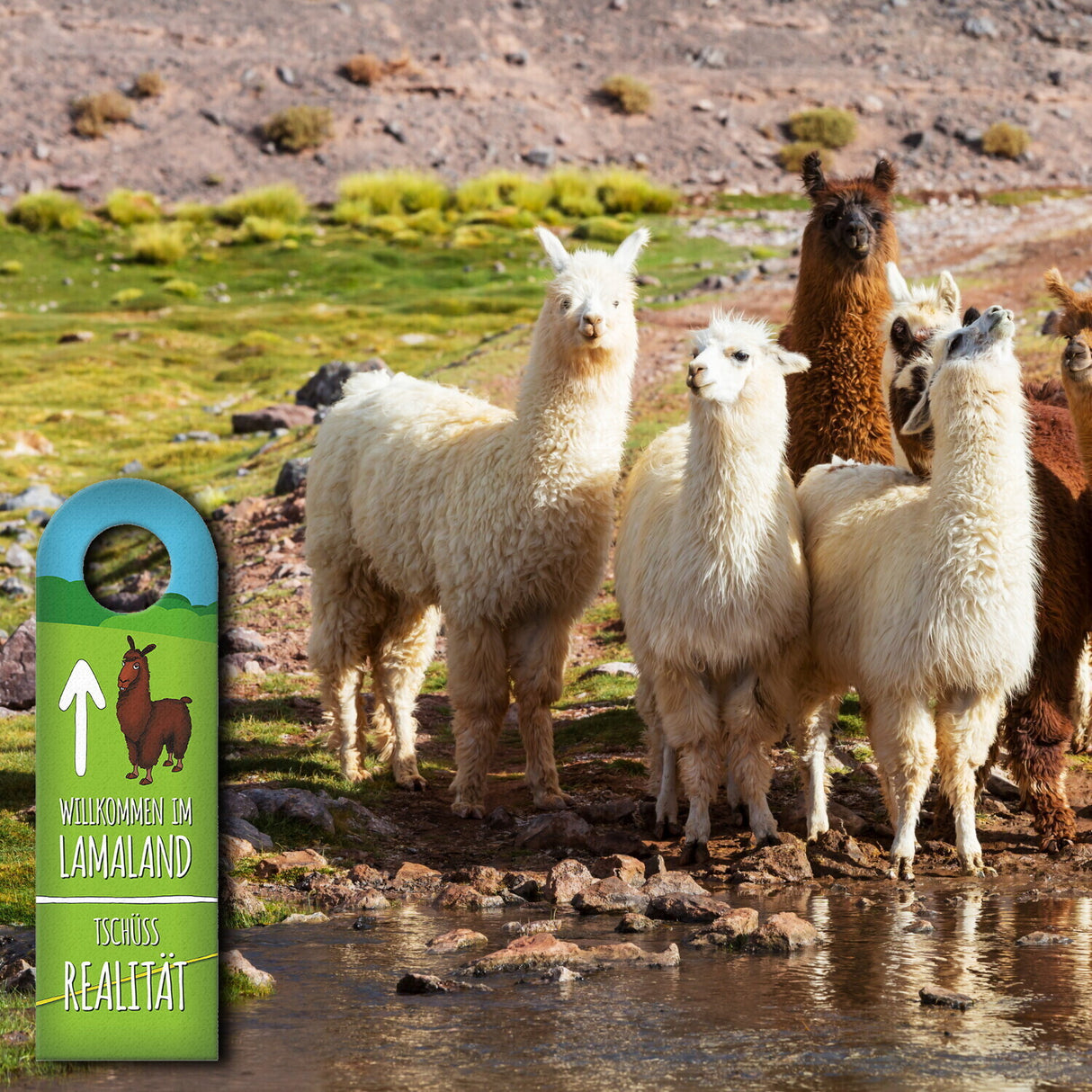Willkommen im Lamaland Türhänger mit Lama Motiv