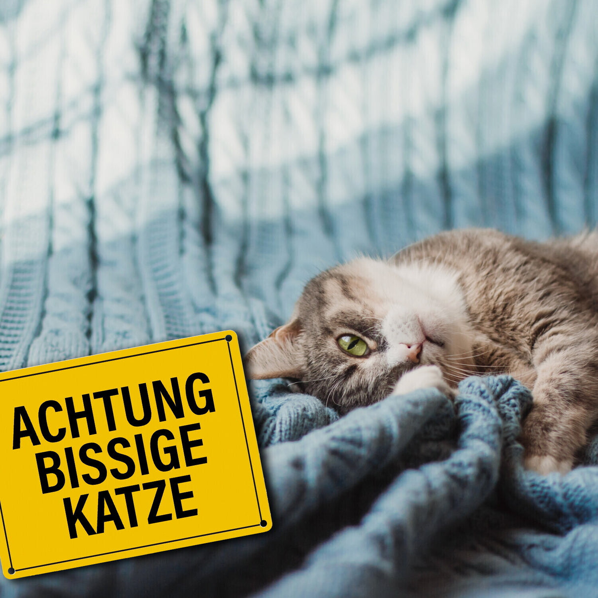 Achtung bissige Katze Metallschild