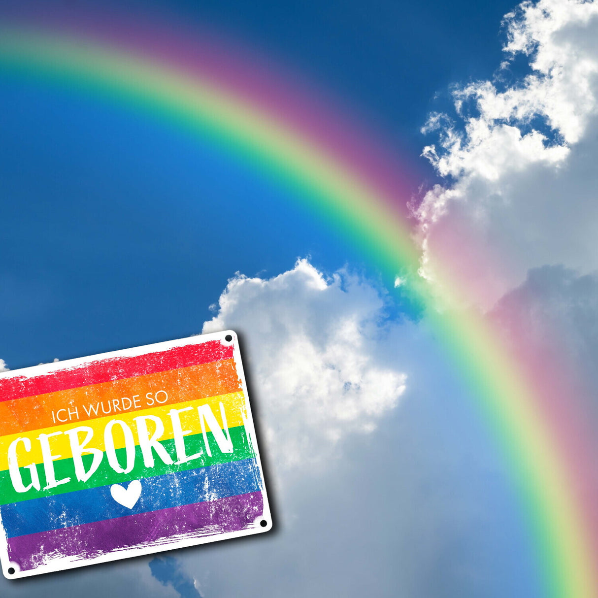 Ich wurde so geboren Metallschild mit Regenbogenflagge