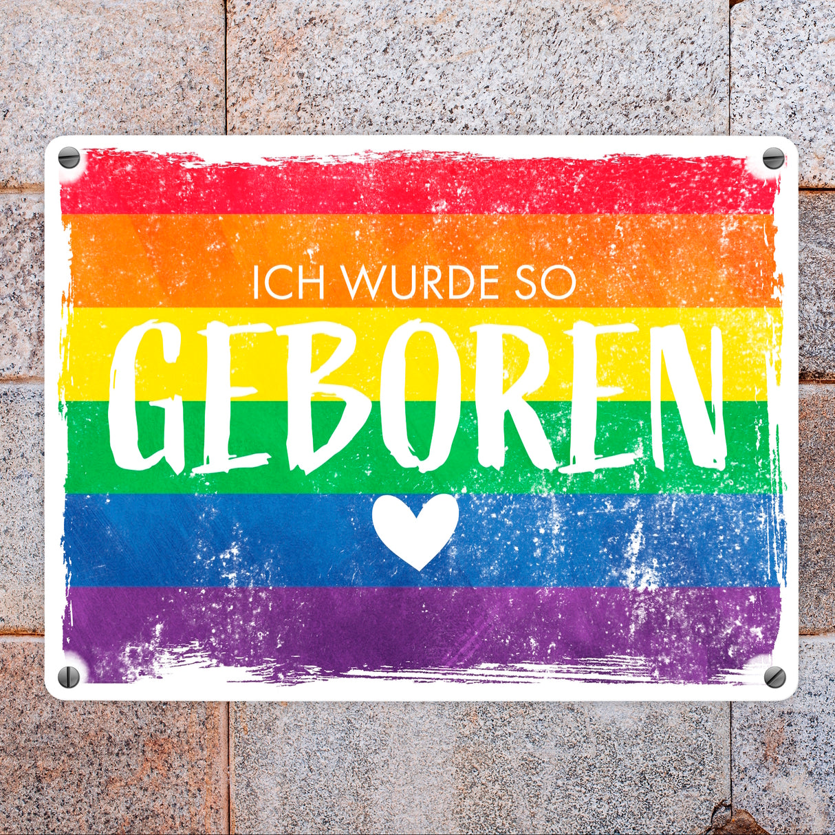 Ich wurde so geboren Metallschild mit Regenbogenflagge