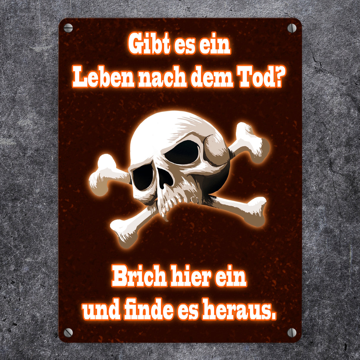Metallschild mit Totenkopf Leben nach dem Tod Einbrecher Warnung Drohung