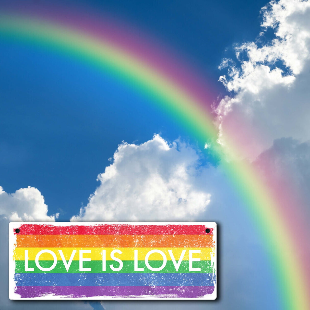 Metallschild mit Regenbogen Motiv - Love is Love mit LGBTQ Flagge