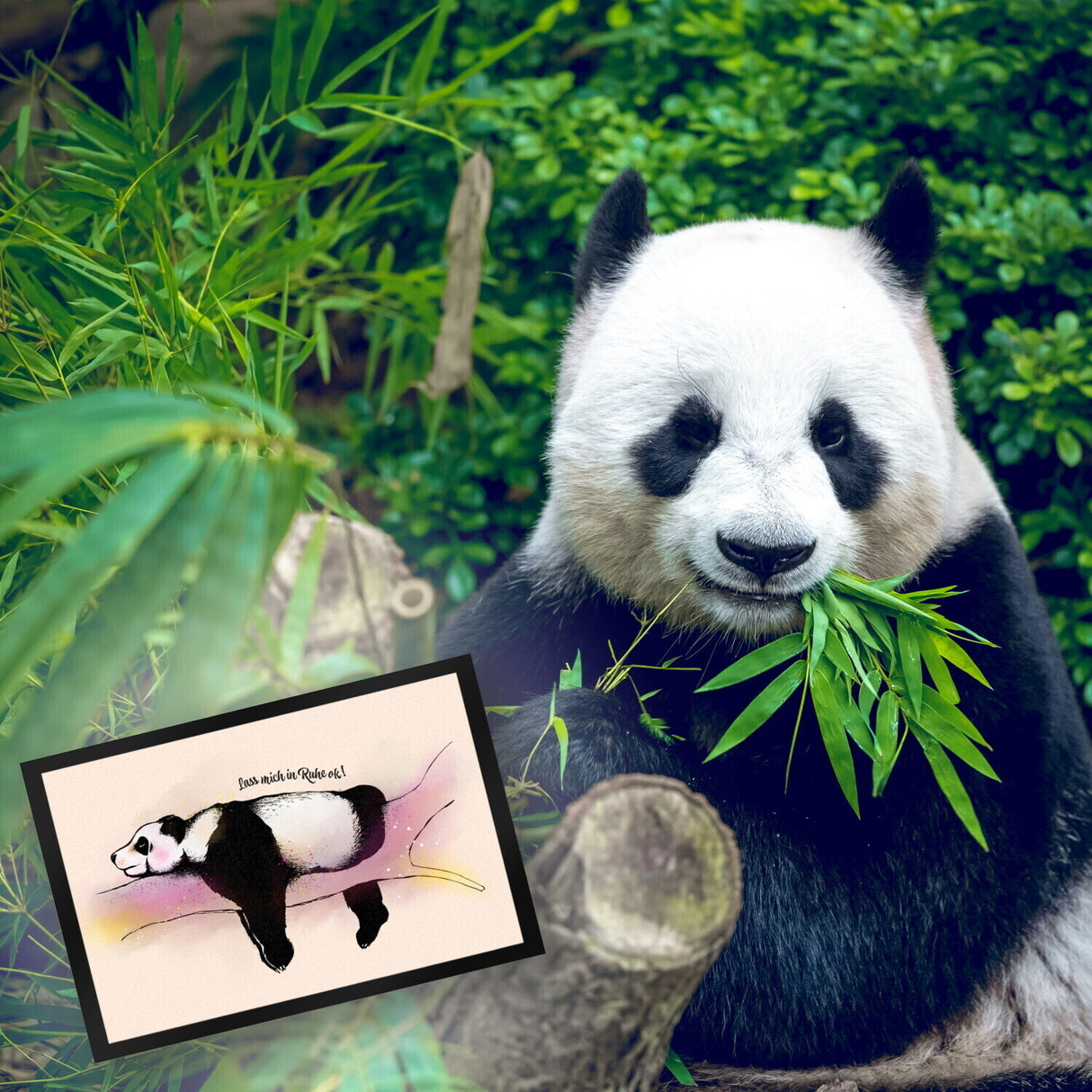 Panda Fußmatte mit Spruch Lass mich in Ruhe ok!